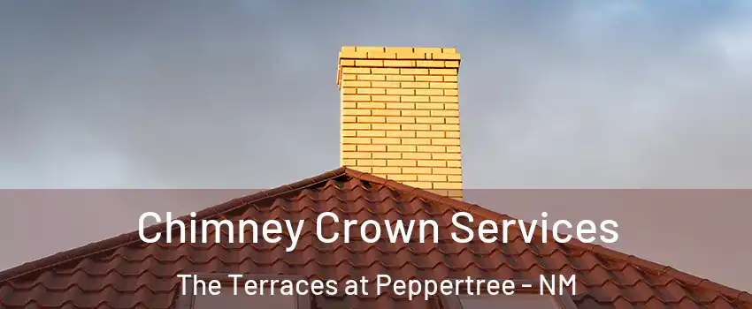 Chimney Crown Services The Terraces at Peppertree - NM