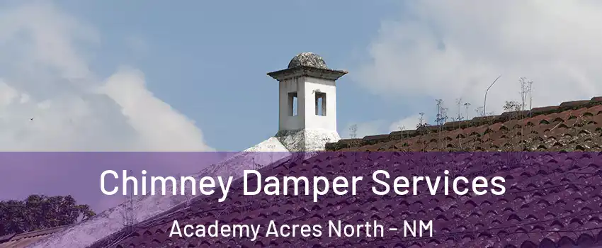 Chimney Damper Services Academy Acres North - NM