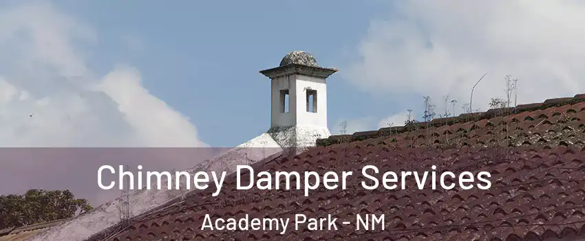 Chimney Damper Services Academy Park - NM