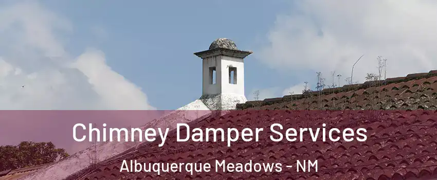 Chimney Damper Services Albuquerque Meadows - NM
