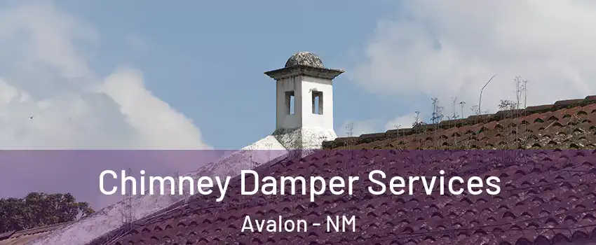 Chimney Damper Services Avalon - NM