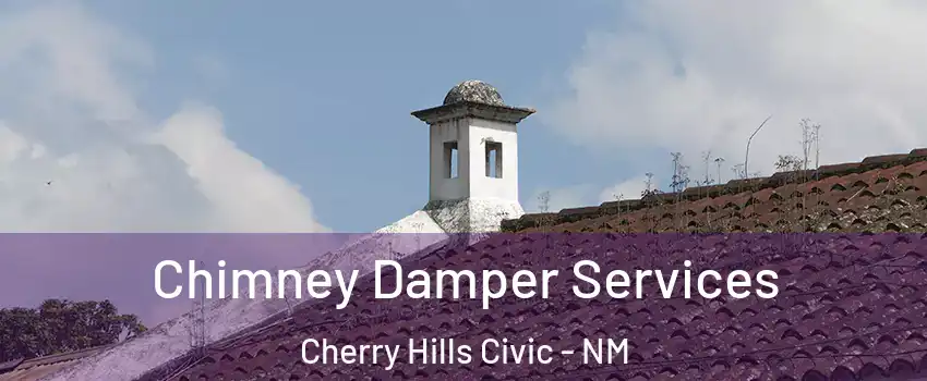 Chimney Damper Services Cherry Hills Civic - NM