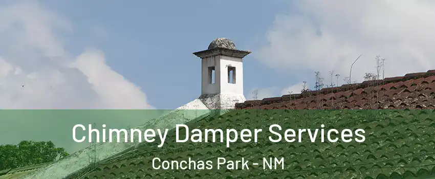 Chimney Damper Services Conchas Park - NM