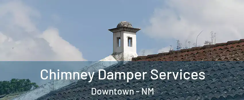 Chimney Damper Services Downtown - NM