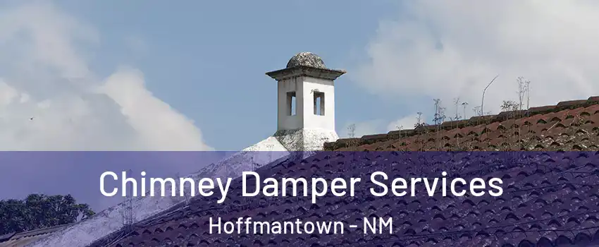 Chimney Damper Services Hoffmantown - NM