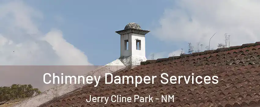 Chimney Damper Services Jerry Cline Park - NM