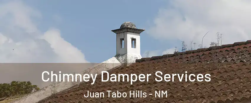Chimney Damper Services Juan Tabo Hills - NM