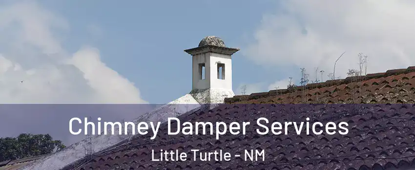 Chimney Damper Services Little Turtle - NM