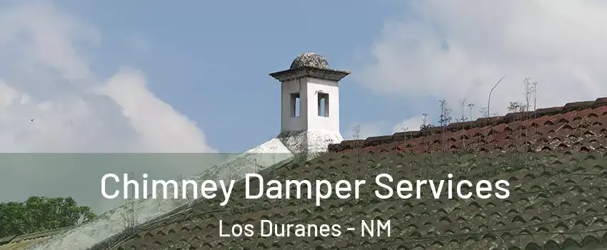 Chimney Damper Services Los Duranes - NM