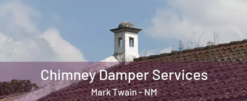 Chimney Damper Services Mark Twain - NM