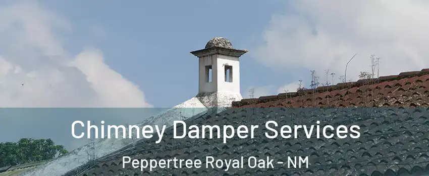 Chimney Damper Services Peppertree Royal Oak - NM