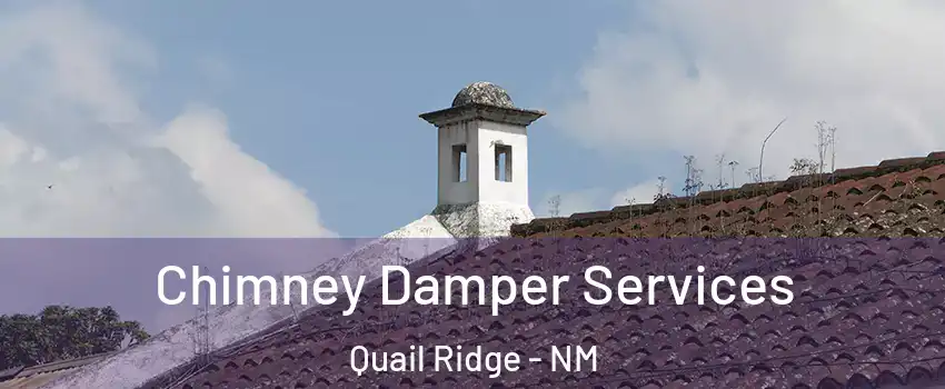 Chimney Damper Services Quail Ridge - NM