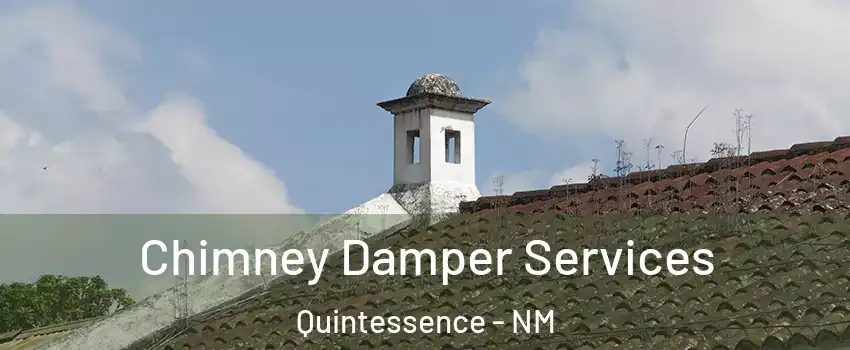 Chimney Damper Services Quintessence - NM