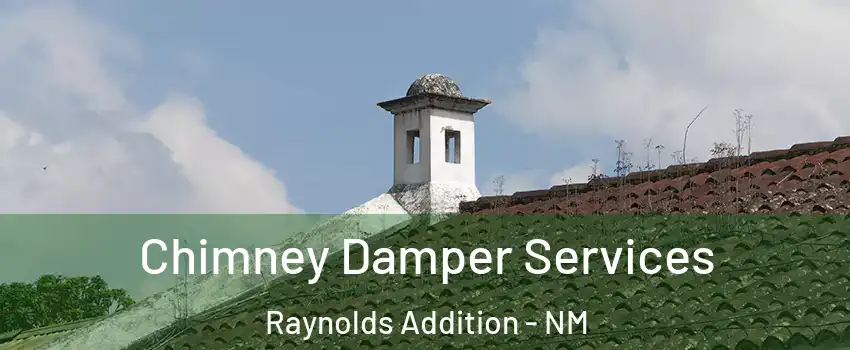 Chimney Damper Services Raynolds Addition - NM