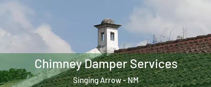 Chimney Damper Services Singing Arrow - NM
