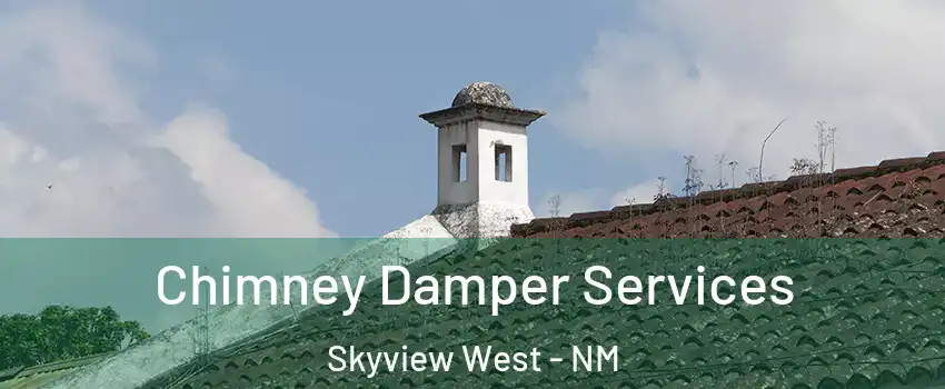 Chimney Damper Services Skyview West - NM
