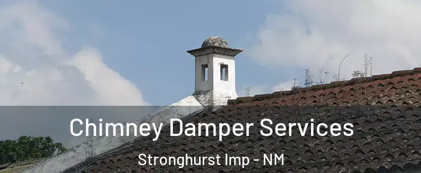 Chimney Damper Services Stronghurst Imp - NM