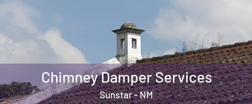 Chimney Damper Services Sunstar - NM