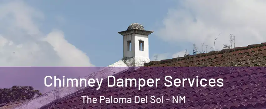 Chimney Damper Services The Paloma Del Sol - NM
