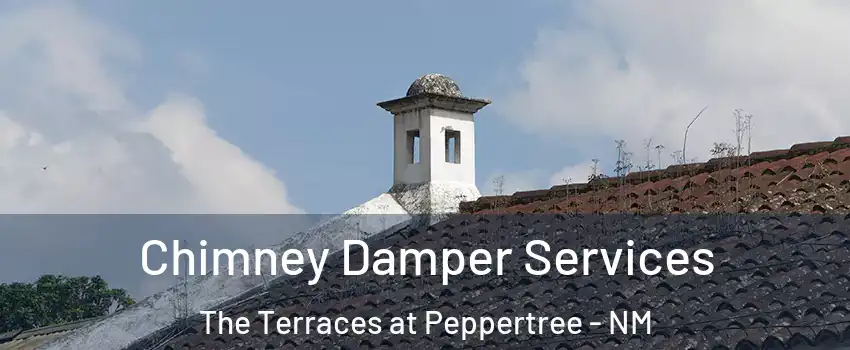 Chimney Damper Services The Terraces at Peppertree - NM