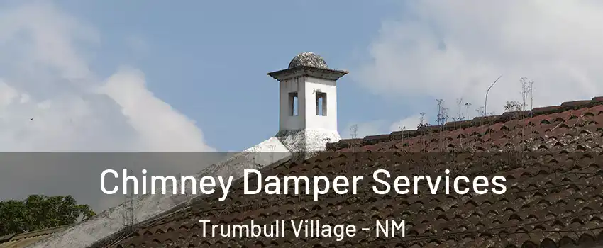 Chimney Damper Services Trumbull Village - NM