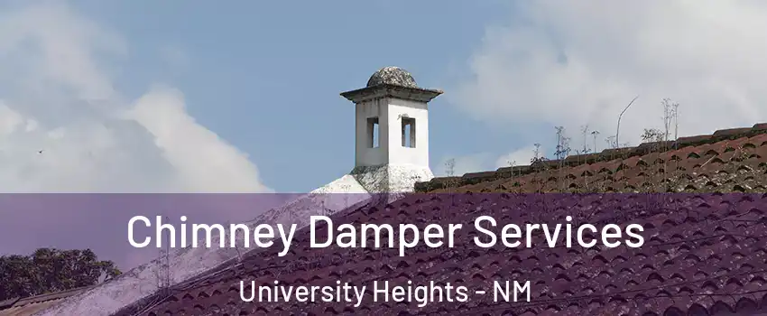 Chimney Damper Services University Heights - NM