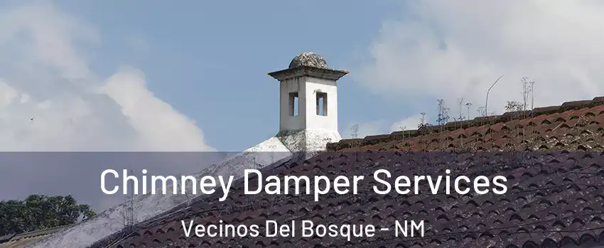 Chimney Damper Services Vecinos Del Bosque - NM