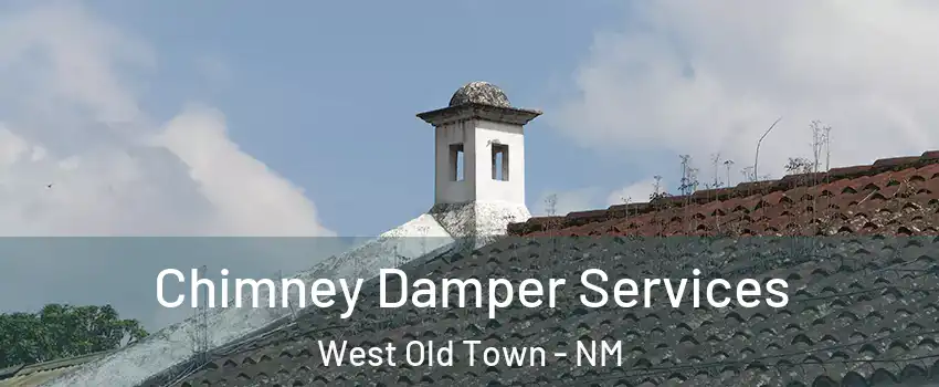Chimney Damper Services West Old Town - NM