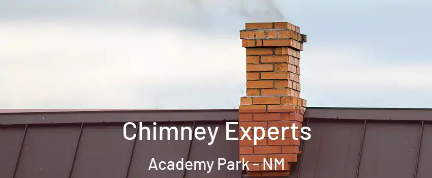 Chimney Experts Academy Park - NM