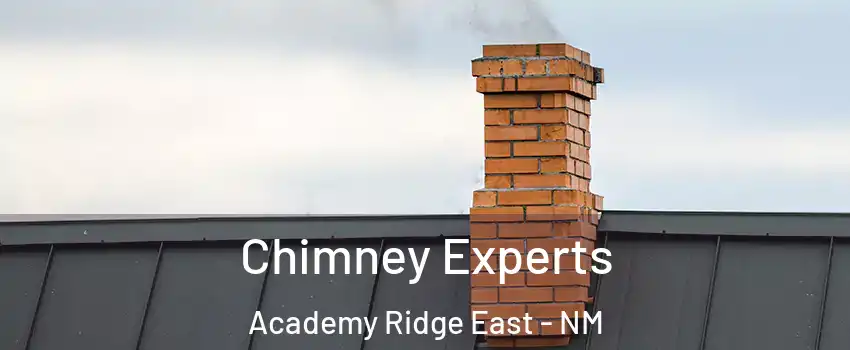 Chimney Experts Academy Ridge East - NM