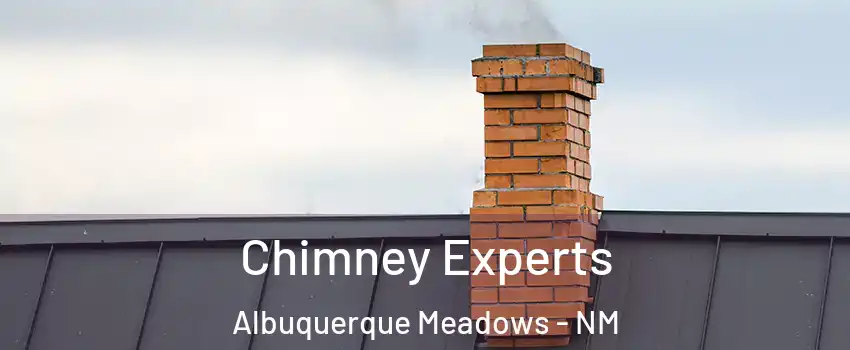Chimney Experts Albuquerque Meadows - NM