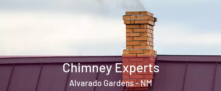 Chimney Experts Alvarado Gardens - NM