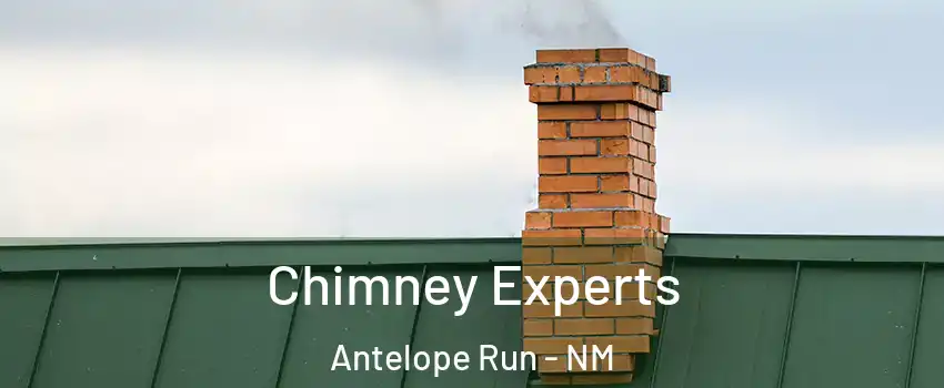 Chimney Experts Antelope Run - NM