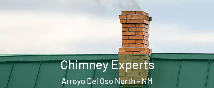 Chimney Experts Arroyo Del Oso North - NM