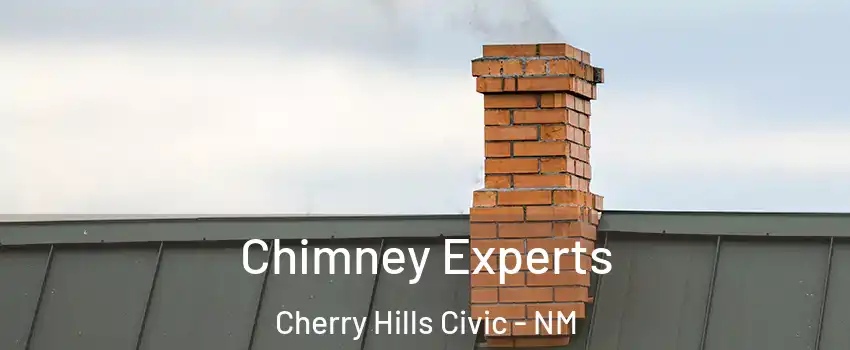 Chimney Experts Cherry Hills Civic - NM