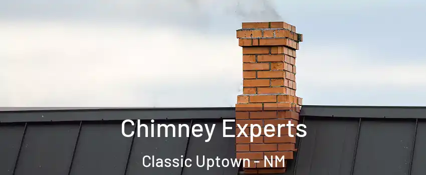 Chimney Experts Classic Uptown - NM