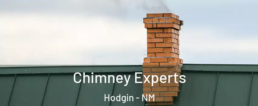 Chimney Experts Hodgin - NM