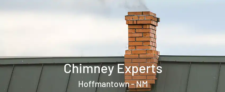 Chimney Experts Hoffmantown - NM