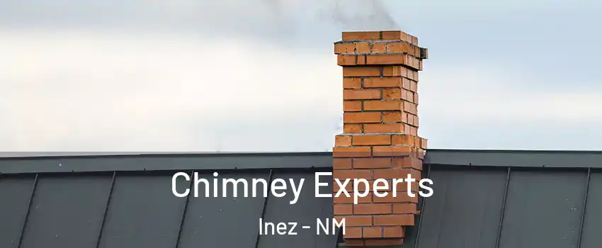 Chimney Experts Inez - NM