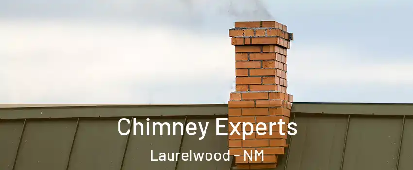 Chimney Experts Laurelwood - NM