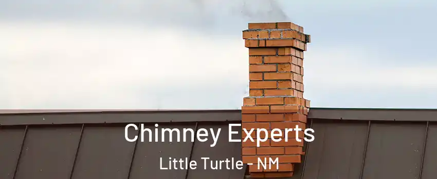 Chimney Experts Little Turtle - NM