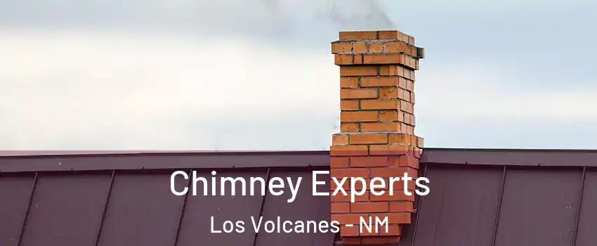 Chimney Experts Los Volcanes - NM