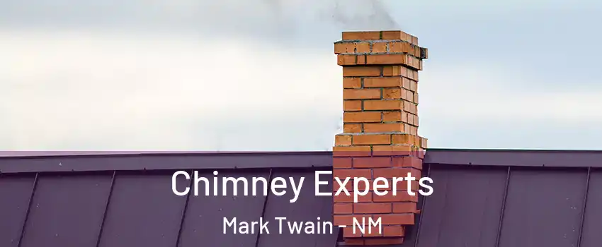 Chimney Experts Mark Twain - NM