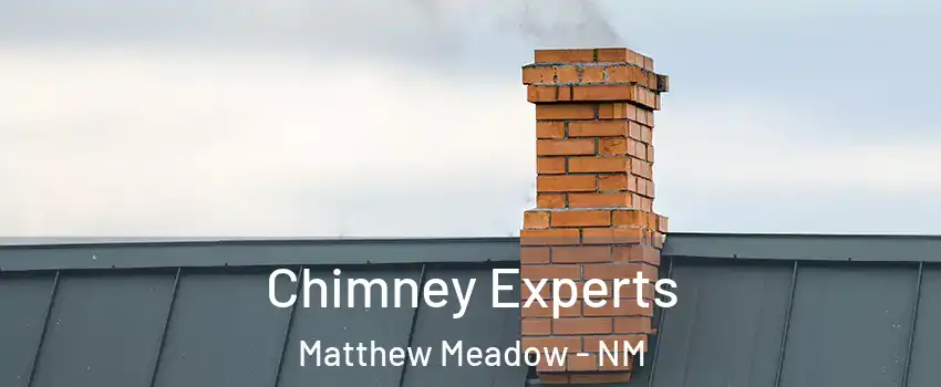 Chimney Experts Matthew Meadow - NM