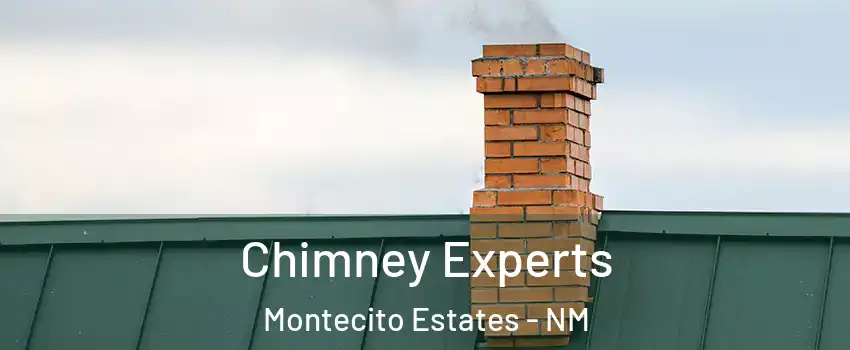 Chimney Experts Montecito Estates - NM