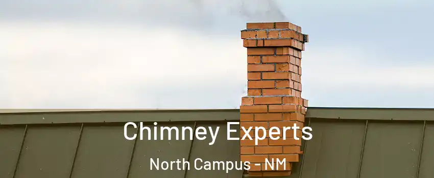 Chimney Experts North Campus - NM