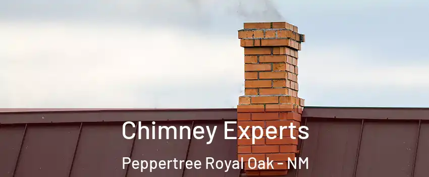 Chimney Experts Peppertree Royal Oak - NM