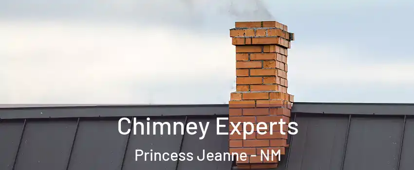 Chimney Experts Princess Jeanne - NM