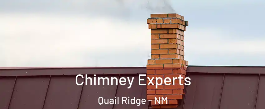 Chimney Experts Quail Ridge - NM
