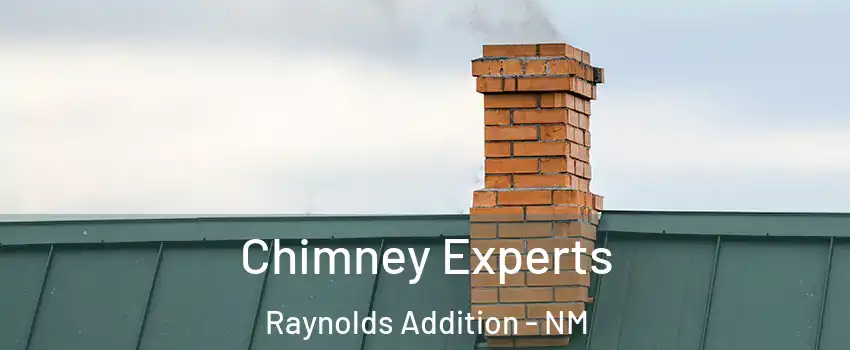 Chimney Experts Raynolds Addition - NM